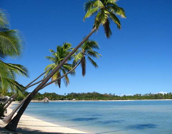 Plantation Island Fiji