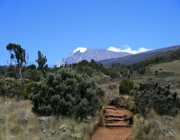 View at Mt Kilimanjaro