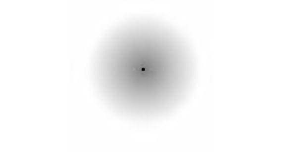 Stare at the black dot… after a while, the gray haze around it will appear 