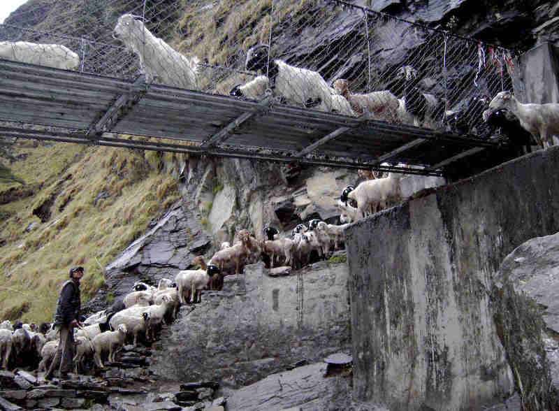 Hanging bridge of Ghasa in Nepal1