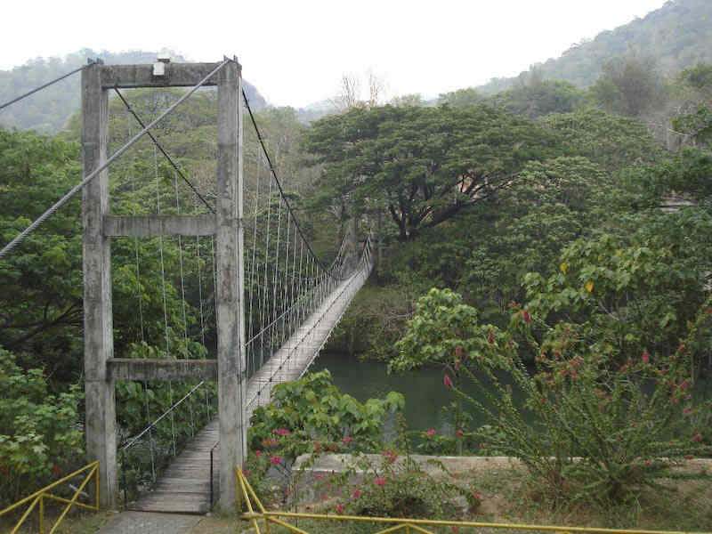 Hanging Bridge at Thenmala