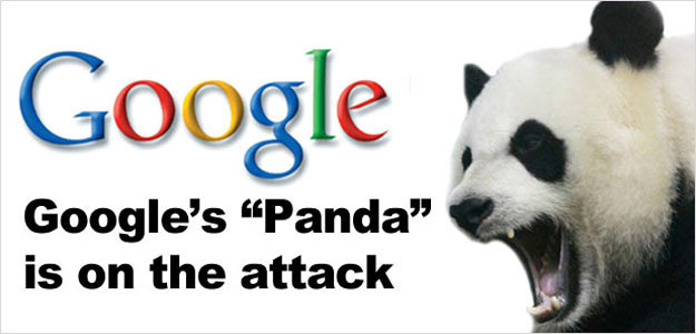 Google's "Panda" is on the attack in primary colors text with a photo of a Panda Bear's head