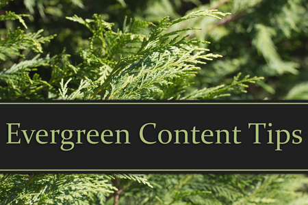 53108818 - evergreen content tips, evergreen background and text evergreen content tips