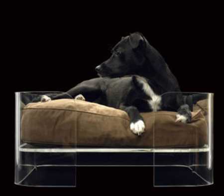 Most expensive dog bed