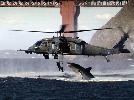 Shark Attacks Helicopter