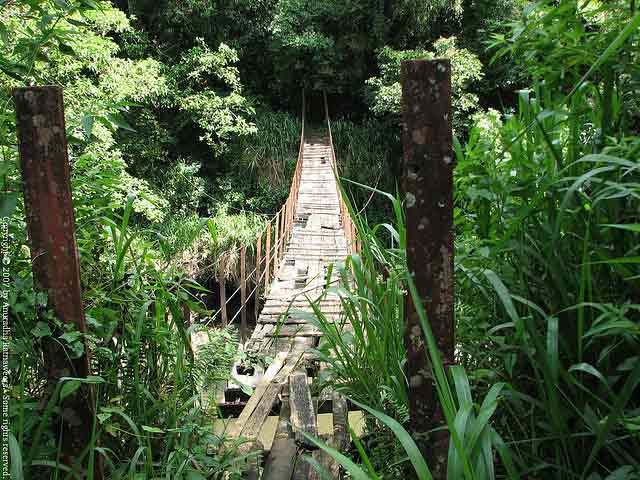 Kotmale Footbridge