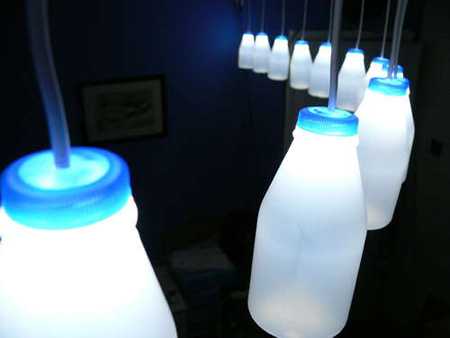 Nilk bottles into lamps