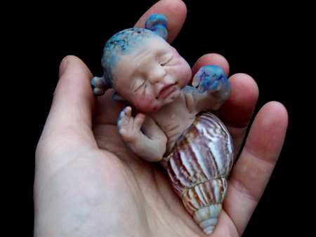Newborn Baby Sea Snail