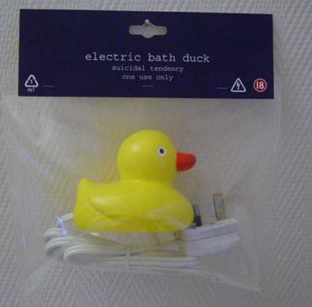 Electric bath duck