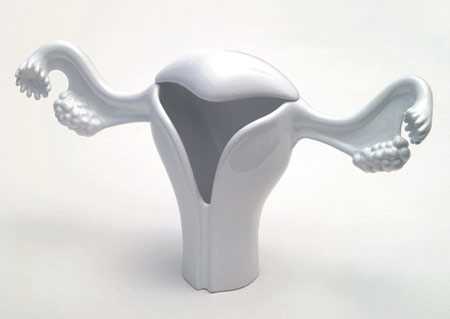 Porcelain Uterus Vase