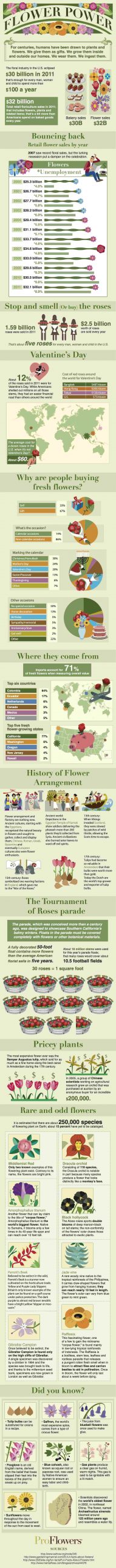 Trivia about flowers infographic