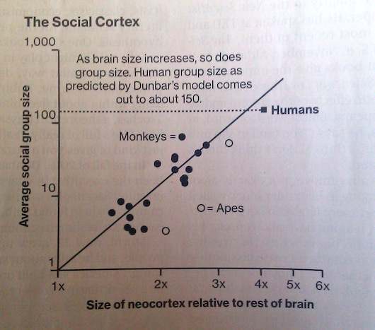 Ratio of Neocortex, Dunbar