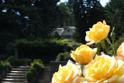 Photo of Lewis and Clark College with yellow roses in the foreground