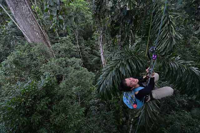 tree climbing