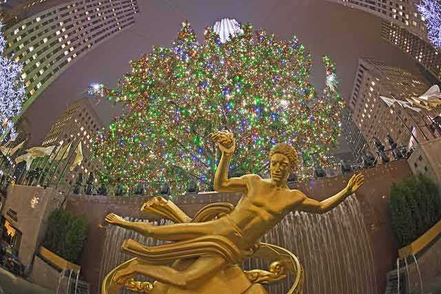 Rockefeller Center Christmas Tree