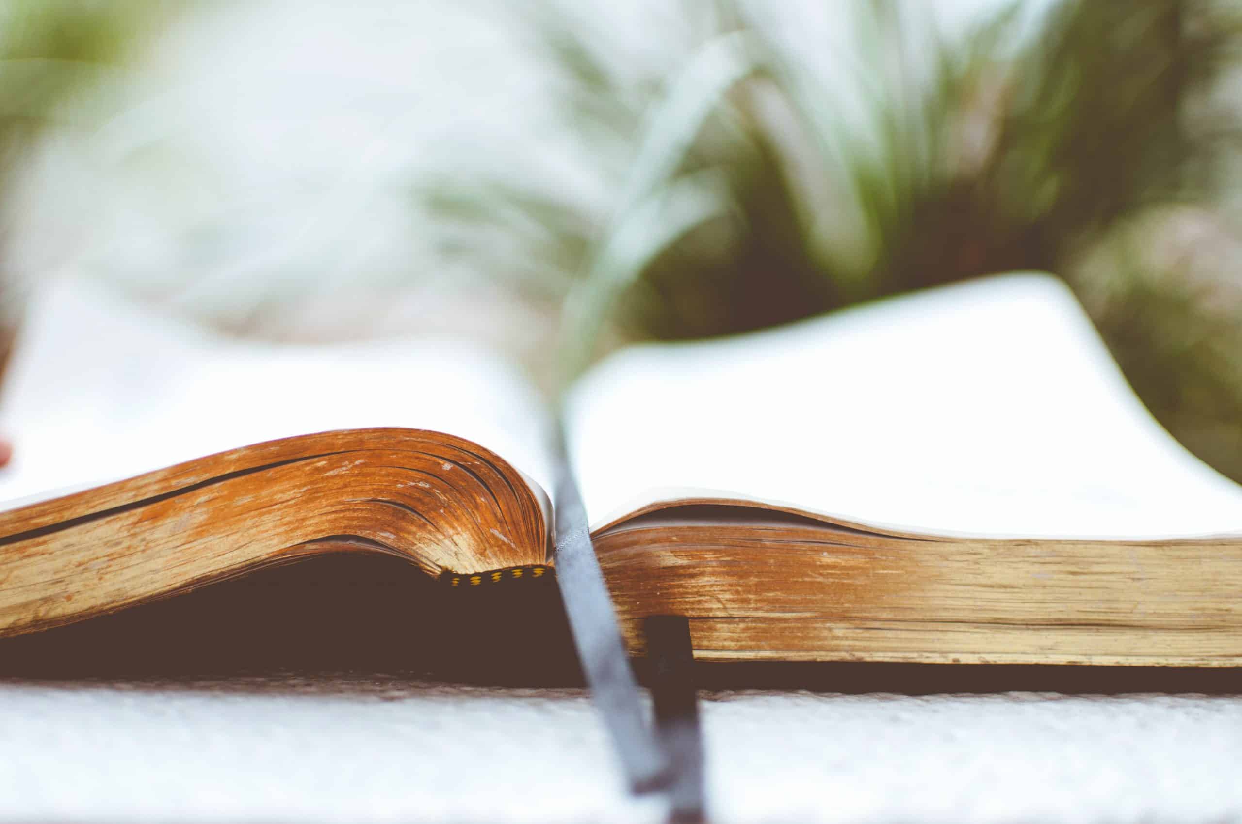 DeeperShopping Books & Bibles