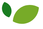 Your FundingTree LLC