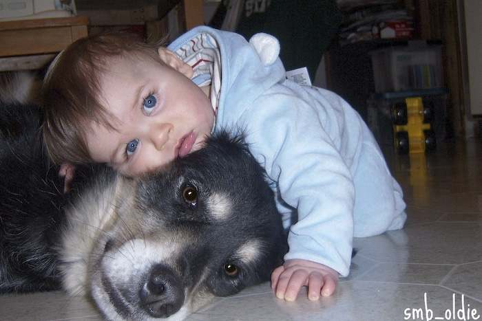 pet and kid