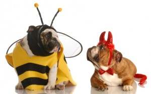 Costumes for dogs and other pets