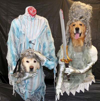 Pair costumes for Dogs