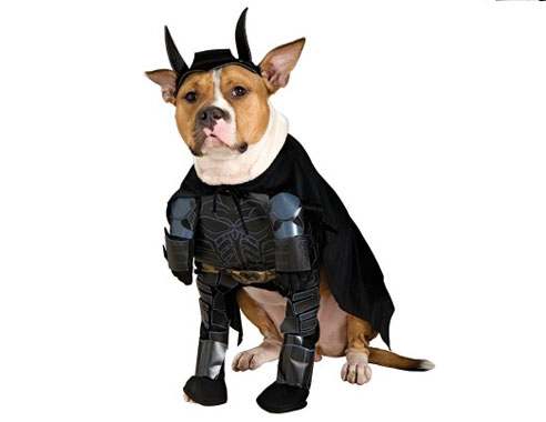 Batman cosutmes for dogs
