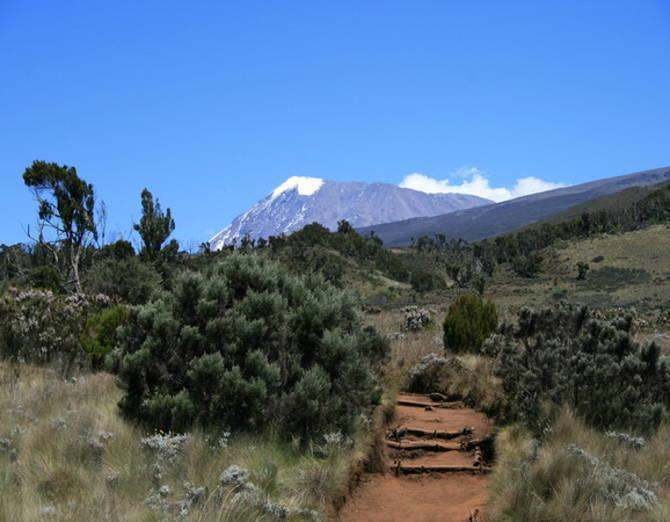 view_at_mt_kilimanjaro