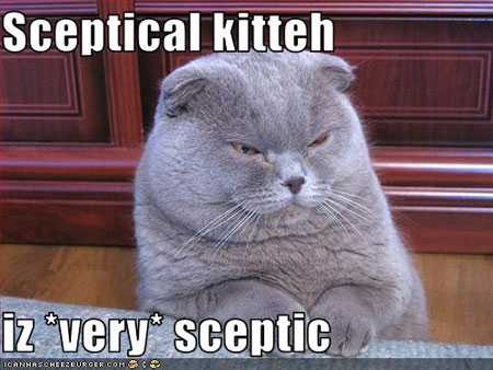 sceptical kitteh lolcat