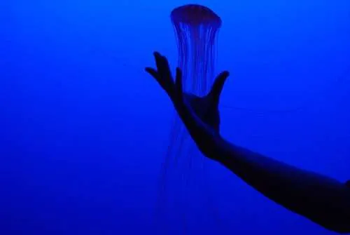 color blue