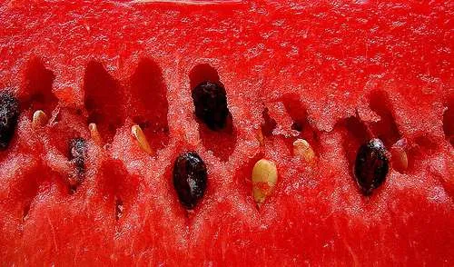 color red