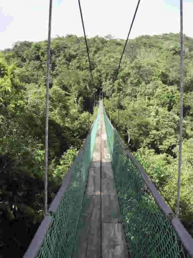 arenal1