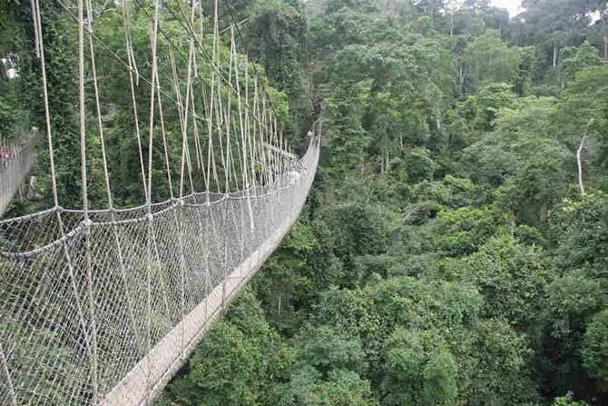 kakum1
