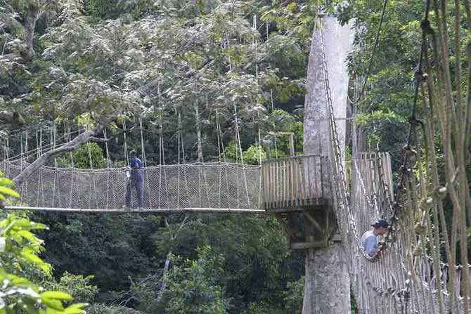 kakum2