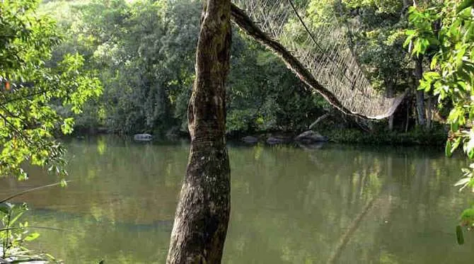 kambadaga1
