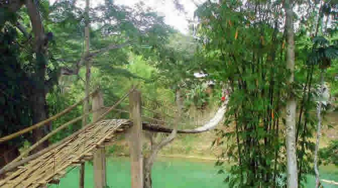 loboc1