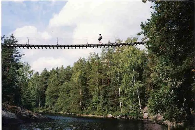 repovesi