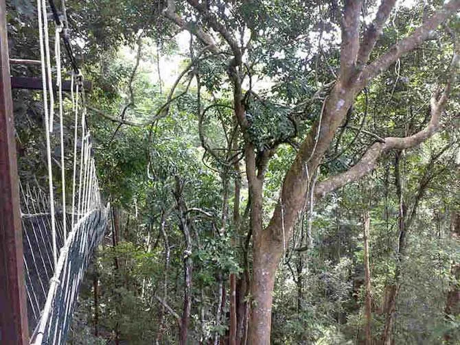taman2