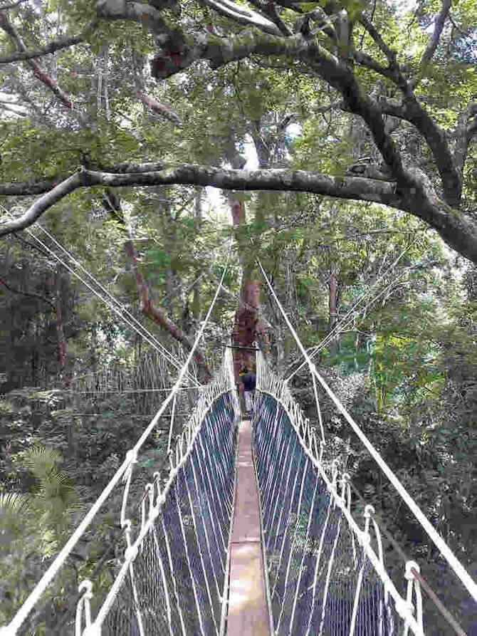 taman3