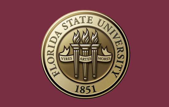 florida state university phd social work